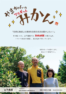 国産 バレンシアオレンジ 約2kg M~LLサイズ 山下農園