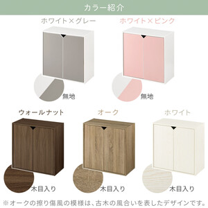 【完成品でお届け】収納ボックス〔Cタイプ〕（オーク）収納棚 扉付き キャビネット ラック 棚 カラーボックス スリム 2段 可動棚 本棚 収納家具 リビング LKANET300248-C-OAK