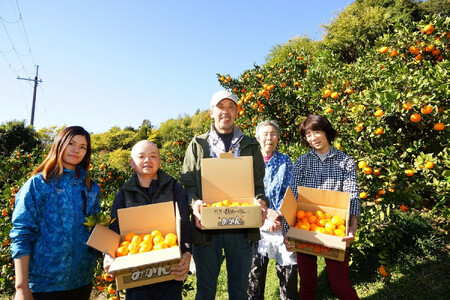 家庭用 国産 バレンシアオレンジ 約5kg M~LLサイズ 山下農園