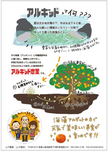 家庭用 国産 バレンシアオレンジ 約5kg M~LLサイズ 山下農園