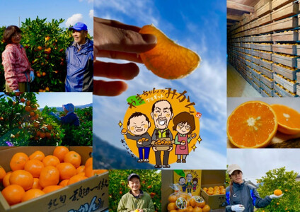 家庭用 国産 バレンシアオレンジ 約5kg M~LLサイズ 山下農園