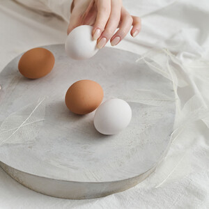 紀州漆器 SHIKI-ORIORI しきおりおり さざなみ Dai 台 お盆 トレイ