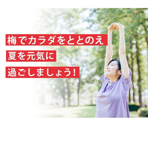 梅エキス 紀州の赤本純正【元気ノ国】70g×3個セット