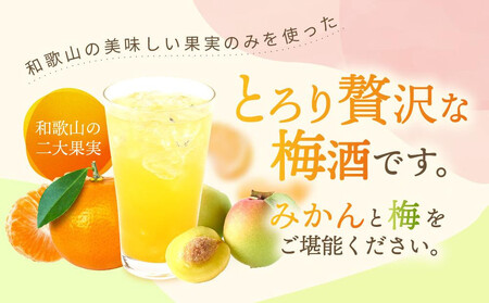 レモン梅酒 約720ml・完熟みかん梅酒 約720mlセット