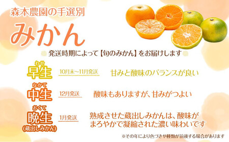 訳あり 森本農園の手選別 小粒みかん 約2kg 和歌山県産 2S・3Sサイズ混合 ［北海道・沖縄・離島配送不可］［2025年11月上旬から順次発送］［RN64］