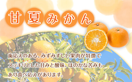 家庭用 森本農園の手選別 甘夏みかん 約4.5kg 和歌山県産 サイズ混合 ［北海道・沖縄・離島配送不可］［2026年4月上旬から順次発送］［RN69］