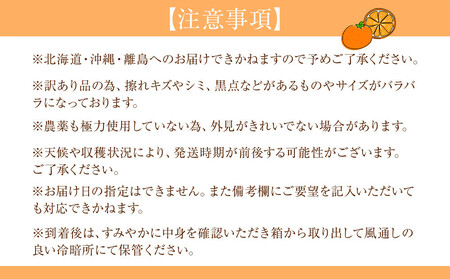 訳あり 森本農園の手選別 小粒清見オレンジ 約2kg 和歌山県産 2S～Mサイズ混合 ［北海道・沖縄・離島配送不可］［2026年2月上旬から5月中旬頃順次発送予定］［RN96］
