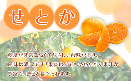 森本農園の手選別 せとか 約2kg 和歌山県産 サイズ混合 ［北海道・沖縄・離島配送不可］［2026年2月上旬から順次発送予定］［RN129］
