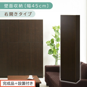 【完成品＋設置付き】壁面収納〔幅45cm・本体・右開きタイプ〕（ダークブラウン）壁面収納 本棚 扉付き 収納 棚 cdラック dvdラック 収納棚 リビング オフィス 扉付き収納 整理棚 書棚 おしゃれ LKONCB642255-R-DBR