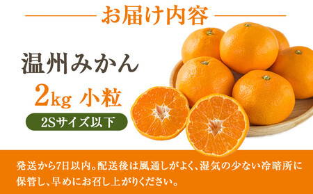 ［先行予約］訳あり 温州みかん 約2kg 小粒［2025年11月上旬頃から順次発送予定］
