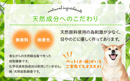 菊の香り かとりせんこう50巻+線香皿付き