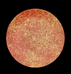 丸小皿 乱糸(マット仕上げ) 5枚セット［NF99］