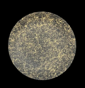 丸小皿 乱糸(マット仕上げ) 5枚セット［NF99］