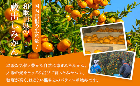 訳あり 蔵出しみかん 約5kg 2S～2Lサイズ混合