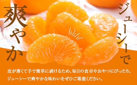 ［先行予約］訳あり 温州みかん 約5kg 2S～2Lサイズ混合［2025年11月上旬頃から順次発送予定］