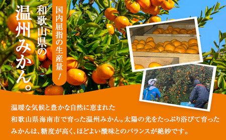 訳あり 温州みかん 約2kg 2S～2Lサイズ混合［2025年11月上旬頃から順次発送予定］