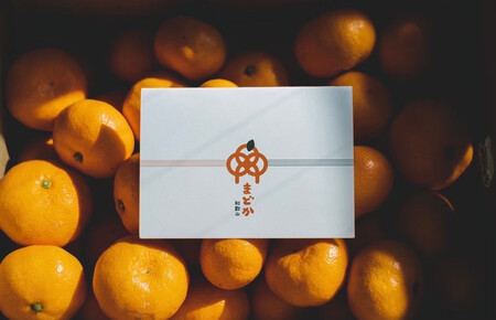 ［先行予約］［贈答用］蔵出しみかん（晩生みかん）S〜Lサイズ混合 10kg＋500g（傷み補償分）［2026年1月上旬より発送］