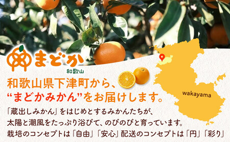［先行予約］［贈答用］蔵出しみかん（晩生みかん）2L〜3Lサイズ混合 5kg＋300g（傷み補償分）［2026年1月上旬より発送］