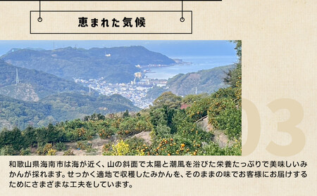 和歌山県産 下津蔵出しみかん 家庭用 5kg (サイズおまかせSまたはMのいずれか) 農家直送 手選別