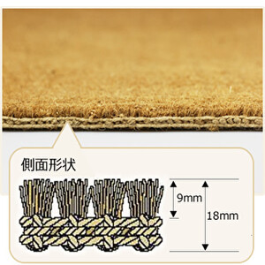 ココヤシ玄関屋外泥・砂落としカルナマット（M）450×750mm