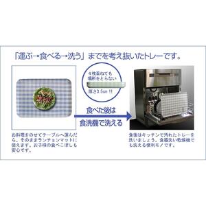 SRカスタートレー 21.5cm ヴィクトリアン オールド ローズ 2枚組　タツクラフト