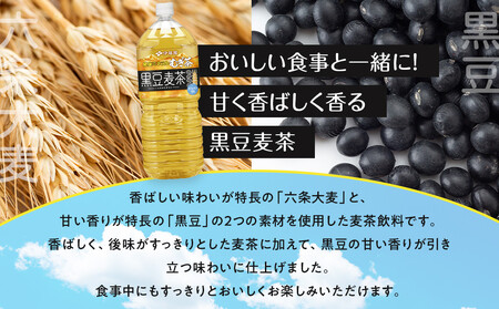 ［定期便 全6回 毎月発送］健康ミネラル麦茶黒豆麦茶 2L×1ケース （6本）