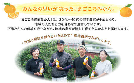 蔵出しみかん 7.5kg 混合サイズ 訳あり 1月～3月発送 和歌山県産 農園直送 まごころ産直みかん ［北海道・沖縄県・一部離島 配送不可］ ミカン 蜜柑 Mikan 温州みかん 温州ミカン わけあり 訳アリ ちょっと訳あり くらだし 下津の蔵出しみかん