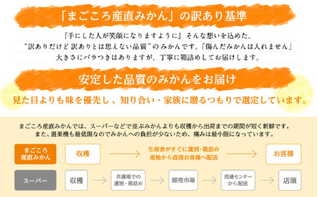 蔵出しみかん 7.5kg 混合サイズ 訳あり 1月～3月発送 和歌山県産 農園直送 まごころ産直みかん ［北海道・沖縄県・一部離島 配送不可］ ミカン 蜜柑 Mikan 温州みかん 温州ミカン わけあり 訳アリ ちょっと訳あり くらだし 下津の蔵出しみかん