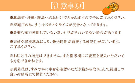 家庭用 森本農園の手選別 はるか 約5kg 和歌山県産 サイズ混合［北海道・沖縄・離島配送不可］［RN157］