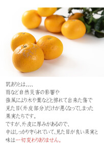 訳あり はっさく 八朔 ハッサク わけあり 10kg｜海南市産 まごころ産直みかん 木成り 完熟はっさく 柑橘 みかん フルーツ 和歌山みかん 国産 産地直送 甘酸っぱくて爽やか！