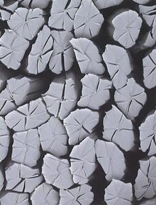 吸水バスマット 2色セット ピンク＆ベージュ