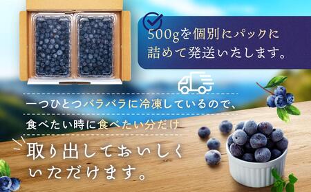 冷凍 ブルーベリー 500g ×4パック 合計2kg