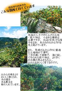 蔵出しみかん 5kg S・M・Lサイズ 冬眠みかん