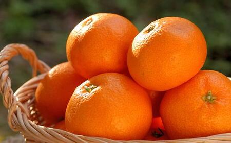 蔵出しみかん 5kg S・M・Lサイズ 冬眠みかん