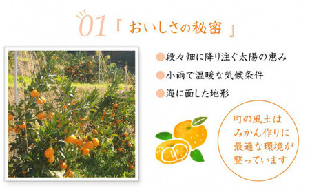 訳あり 早生みかん 5kg ｜みかん  