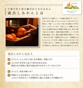 蔵出しみかん 大玉サイズ 5kg＋約1kg増量 2L3L ご家庭用