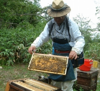 熊野古道 みかん蜂蜜【SW97】