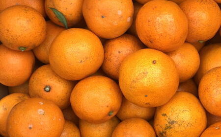 ［産直］下津蔵出しみかん10kgご家庭用向け(サイズ混合) ★2026年1月中旬頃より順次出荷