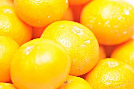 ［先行予約］完熟早生みかん 家庭用 約5kg サイズ混合