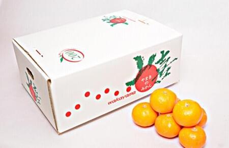 ［先行予約］完熟早生みかん 家庭用 約5kg サイズ混合