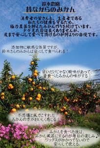 蔵出しみかん3kg小粒S又はSSサイズ【下津の蔵出しみかん】1月発送・2月発送で昔ながらのみかん鈴木農園より産地直送｜贈答 ギフト Sサイズ 2Sサイズ 小玉 ※北海道・沖縄・離島への配送不可