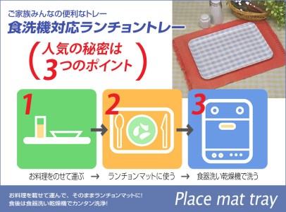 【ナチュラル 2枚組】タツクラフト ST ランチョントレー L 39cm ウッド