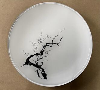 【全4回】 フラットプレートM 定期便 【 3月発送：墨桜純白 6月発送：花火マジョブルー 9月発送:紅葉漆黒 12月発送：マジョ銀箔ブルー 】【NF1】