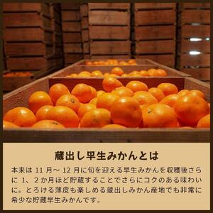 蔵出しみかん早生　5kg家庭用｜和歌山県海南市下津町の特産品蔵出しみかんの早生品種【2026年1月発送開始】