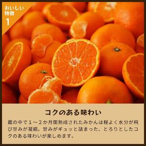 蔵出しみかん早生　5kg家庭用｜和歌山県海南市下津町の特産品蔵出しみかんの早生品種【2026年1月発送開始】