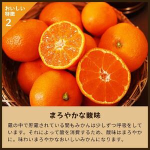 蔵出しみかん早生　5kg家庭用｜和歌山県海南市下津町の特産品蔵出しみかんの早生品種【2026年1月発送開始】