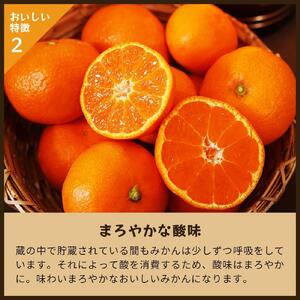蔵出しみかん中生　5kg家庭用｜和歌山県海南市下津町の特産品蔵出しみかんの中生品種を産地直送でお届け【2026年1月発送開始】