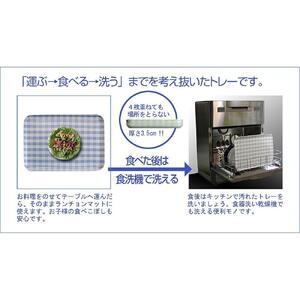 【ブルー 2枚組】SR トレー L 39cm チェック タツクラフト 【Tk219】