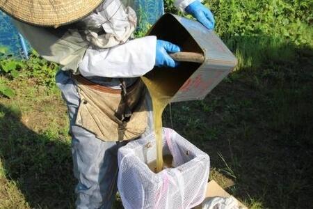 和歌山ミツバチの奇跡バウム(5個入)