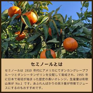 セミノール（みかん）5kg家庭用｜和歌山県海南市下津町で育てた高級オレンジを産地直送でお届け【2026年4月発送開始】